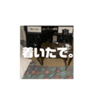 ねこも人間も同じようなもん。（個別スタンプ：4）