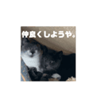 ねこも人間も同じようなもん。（個別スタンプ：8）