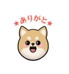 もふもふ柴犬 だんと君 ☆1☆（個別スタンプ：5）