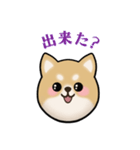 もふもふ柴犬 だんと君 ☆1☆（個別スタンプ：21）