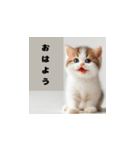 かわいい子猫の赤ちゃんのさまざまな感情（個別スタンプ：2）