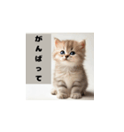 かわいい子猫の赤ちゃんのさまざまな感情（個別スタンプ：10）