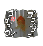トリとさかな（個別スタンプ：8）