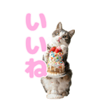 猫×食べ物【日常使い】（個別スタンプ：7）