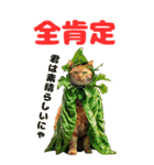 猫×食べ物【日常使い】（個別スタンプ：15）