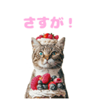 猫×食べ物【日常使い】（個別スタンプ：19）
