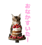 猫×食べ物【日常使い】（個別スタンプ：21）