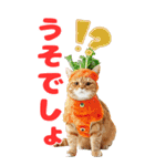 猫×食べ物【日常使い】（個別スタンプ：26）
