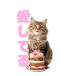 猫×食べ物【日常使い】（個別スタンプ：28）
