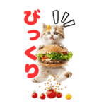 猫×食べ物【日常使い】（個別スタンプ：32）