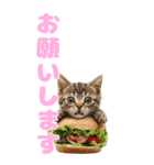 猫×食べ物【日常使い】（個別スタンプ：33）