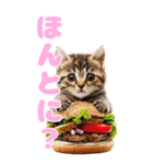 猫×食べ物【日常使い】（個別スタンプ：34）