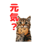 猫×食べ物【日常使い】（個別スタンプ：37）