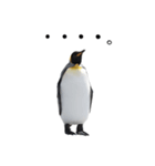 動物園の鳥と動物たち（個別スタンプ：5）