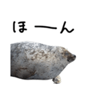 動物園の鳥と動物たち（個別スタンプ：7）