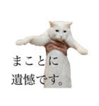 ふわまる大先生！（個別スタンプ：1）