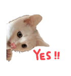 ふわまる大先生！（個別スタンプ：9）
