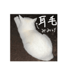 ふわまる大先生！（個別スタンプ：27）