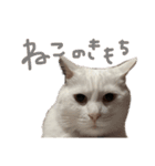ふわまる大先生！（個別スタンプ：28）