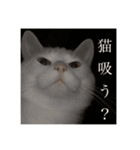 ふわまる大先生！（個別スタンプ：30）