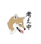 柴犬・01（個別スタンプ：11）