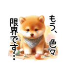 喜怒哀楽の激しい柴犬☆（個別スタンプ：18）