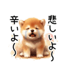 喜怒哀楽の激しい柴犬☆（個別スタンプ：20）