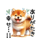 喜怒哀楽の激しい柴犬☆（個別スタンプ：23）