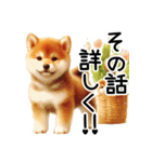 喜怒哀楽の激しい柴犬☆（個別スタンプ：27）