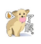 我が家の愛犬シーちゃん（個別スタンプ：7）