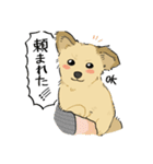 我が家の愛犬シーちゃん（個別スタンプ：13）