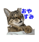 えるスタ！（個別スタンプ：6）