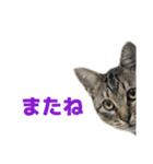 えるスタ！（個別スタンプ：7）