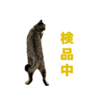 えるスタ！（個別スタンプ：10）