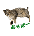 えるスタ！（個別スタンプ：11）