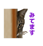 えるスタ！（個別スタンプ：14）