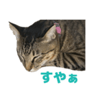 えるスタ！（個別スタンプ：26）