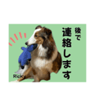 RICKY君の日常スタンプ（個別スタンプ：7）