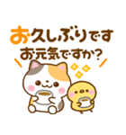 気持ち伝える長文♡ねこねこにゃんこ（個別スタンプ：17）