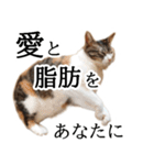 代弁猫～退屈な日常に猫を添えて～（個別スタンプ：10）