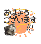 猫のもずくだよ（個別スタンプ：2）