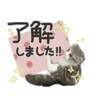 猫のもずくだよ（個別スタンプ：9）