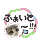 猫のもずくだよ（個別スタンプ：14）