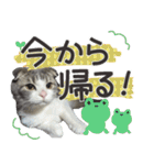 猫のもずくだよ（個別スタンプ：21）