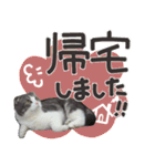 猫のもずくだよ（個別スタンプ：22）