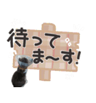 猫のもずくだよ（個別スタンプ：23）