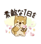 柴犬・茶色い犬【お祝いの言葉】（個別スタンプ：24）