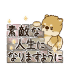 柴犬・茶色い犬【お祝いの言葉】（個別スタンプ：26）