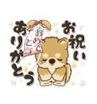 柴犬・茶色い犬【お祝いの言葉】（個別スタンプ：38）