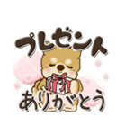 柴犬・茶色い犬【お祝いの言葉】（個別スタンプ：39）